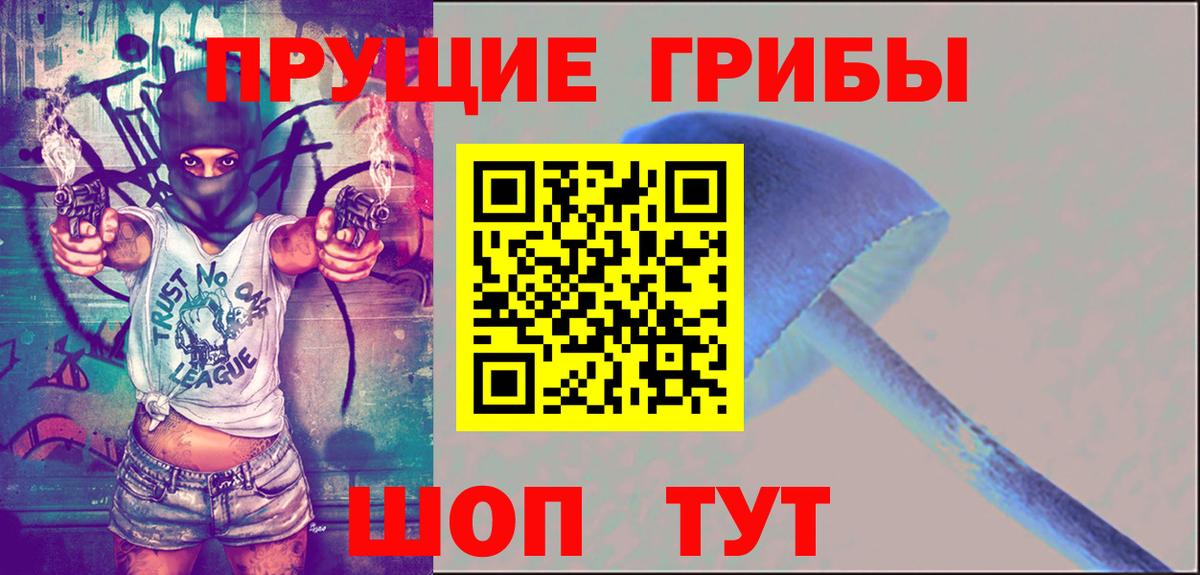 Псилоцибиновые грибы Psilocybe Назрань