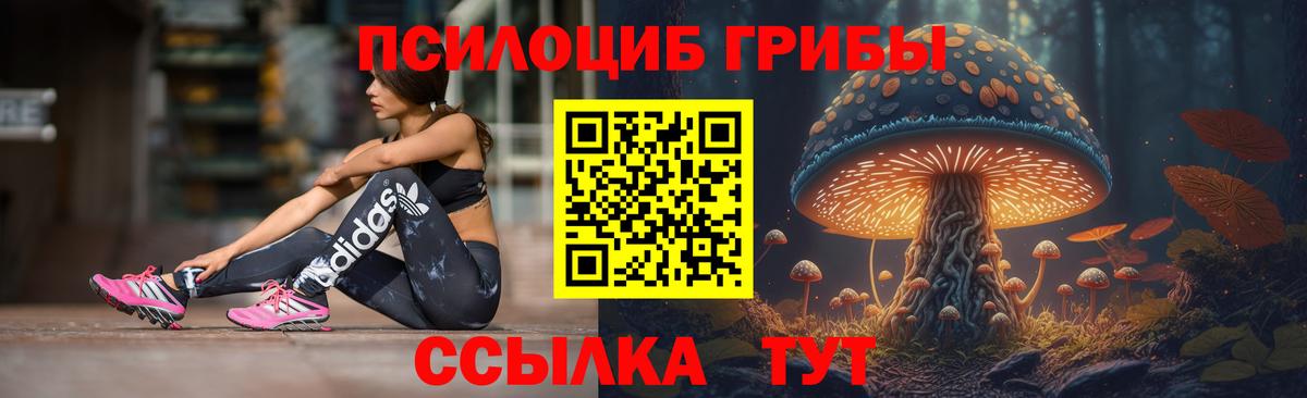 Назрань  Псилоцибиновые грибы ЛСД  Вход с VPN 